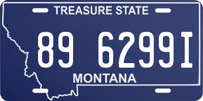 MT license plate 896299I