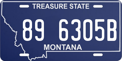 MT license plate 896305B