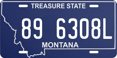 MT license plate 896308L