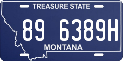 MT license plate 896389H