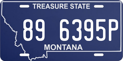MT license plate 896395P