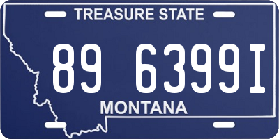 MT license plate 896399I