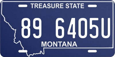 MT license plate 896405U