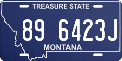 MT license plate 896423J