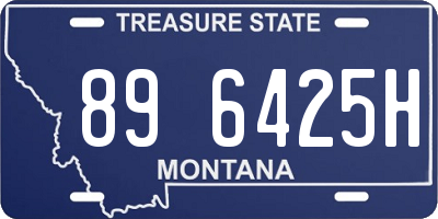 MT license plate 896425H