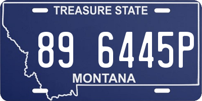 MT license plate 896445P