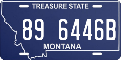 MT license plate 896446B