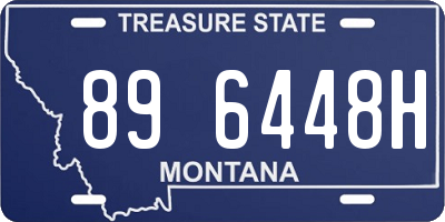 MT license plate 896448H