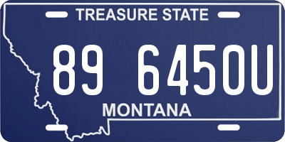 MT license plate 896450U