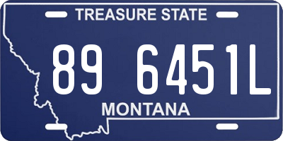 MT license plate 896451L