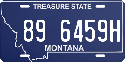 MT license plate 896459H