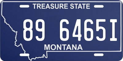 MT license plate 896465I