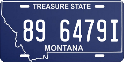 MT license plate 896479I