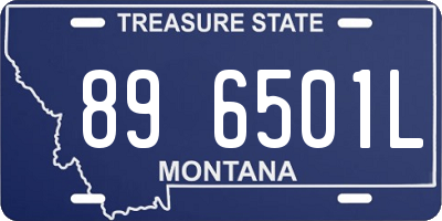 MT license plate 896501L