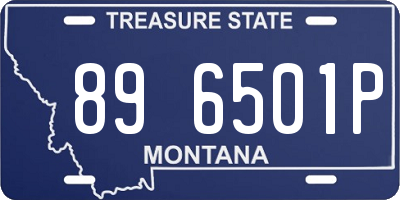 MT license plate 896501P