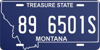 MT license plate 896501S
