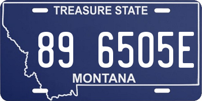 MT license plate 896505E