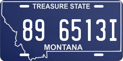 MT license plate 896513I