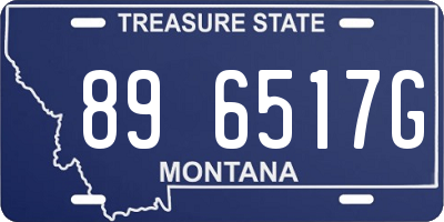MT license plate 896517G
