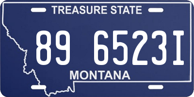 MT license plate 896523I
