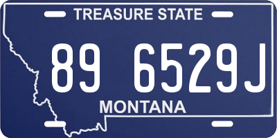 MT license plate 896529J