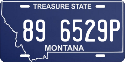MT license plate 896529P