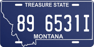 MT license plate 896531I