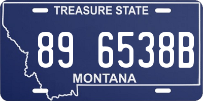 MT license plate 896538B