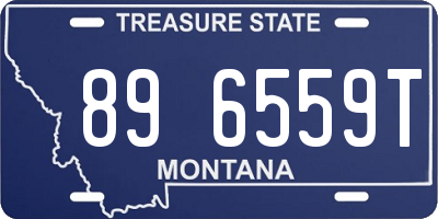 MT license plate 896559T