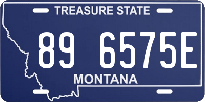 MT license plate 896575E
