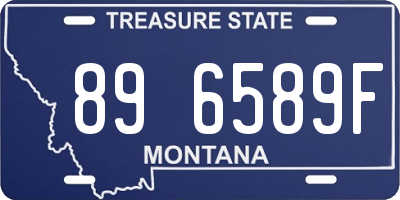 MT license plate 896589F