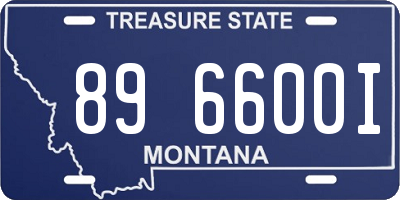 MT license plate 896600I