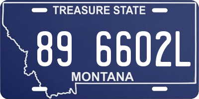 MT license plate 896602L
