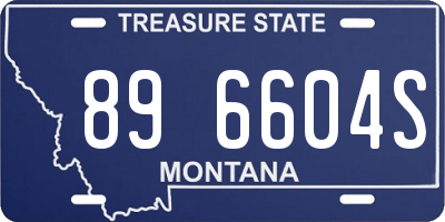 MT license plate 896604S