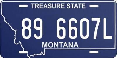 MT license plate 896607L