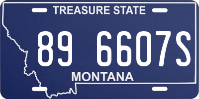 MT license plate 896607S