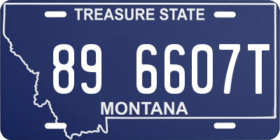MT license plate 896607T