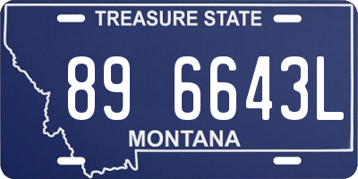 MT license plate 896643L