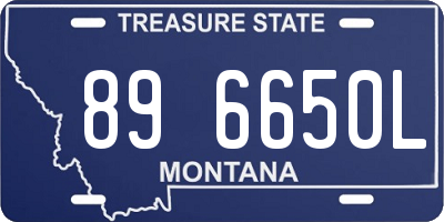MT license plate 896650L