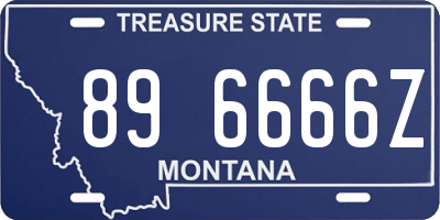 MT license plate 896666Z