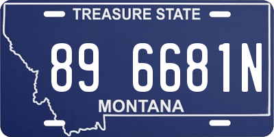MT license plate 896681N