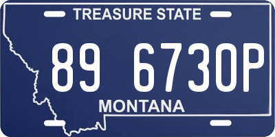 MT license plate 896730P