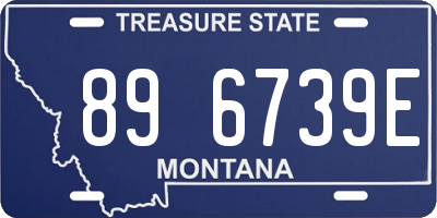 MT license plate 896739E