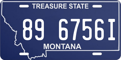 MT license plate 896756I