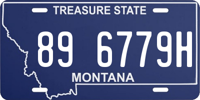 MT license plate 896779H