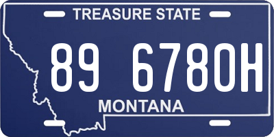 MT license plate 896780H