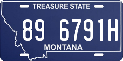 MT license plate 896791H