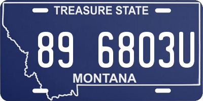 MT license plate 896803U