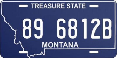 MT license plate 896812B