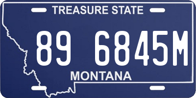 MT license plate 896845M